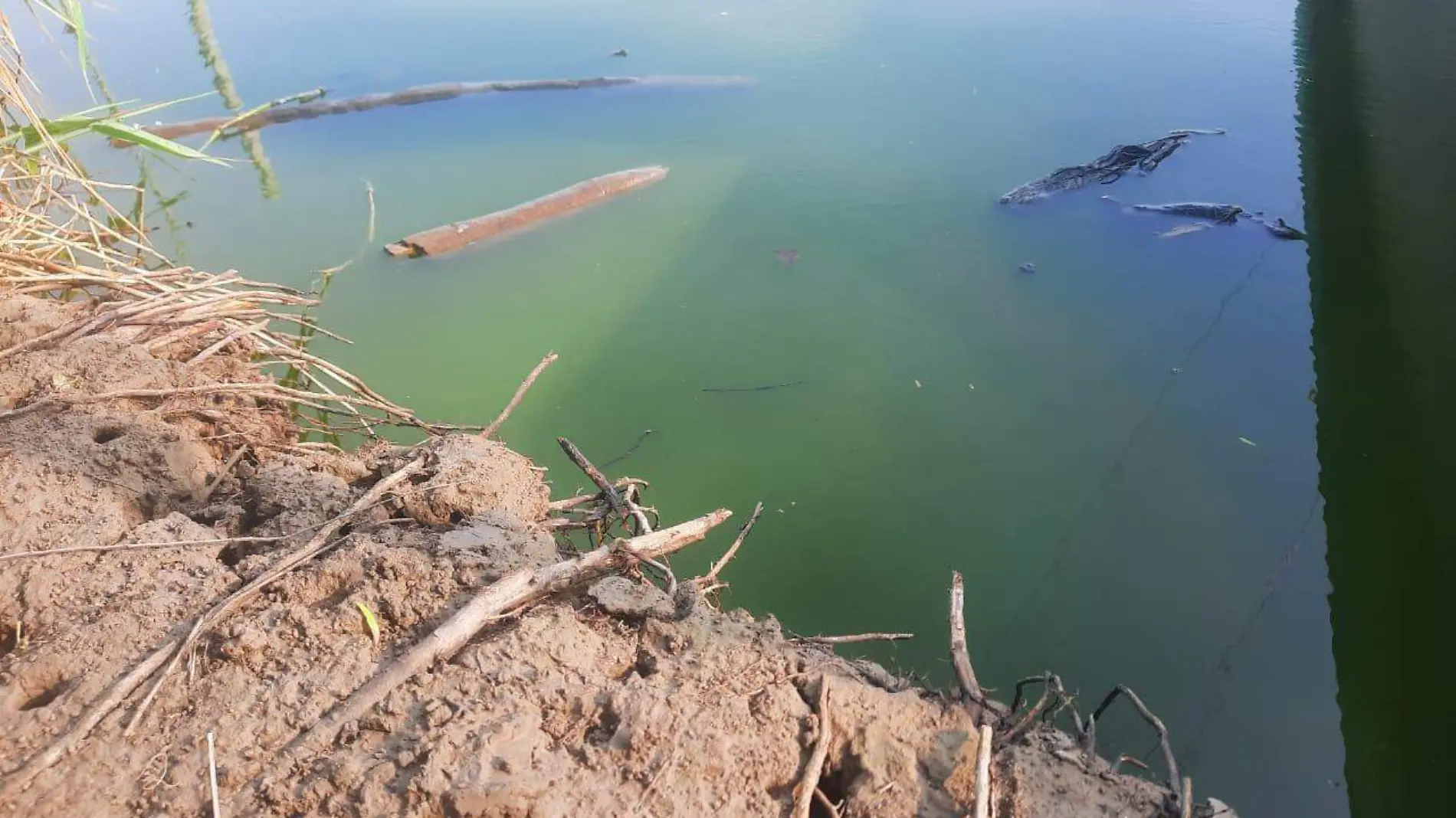 Sequía y contaminación afectan la vitalidad del río Pánuco: zonas rurales en riesgo